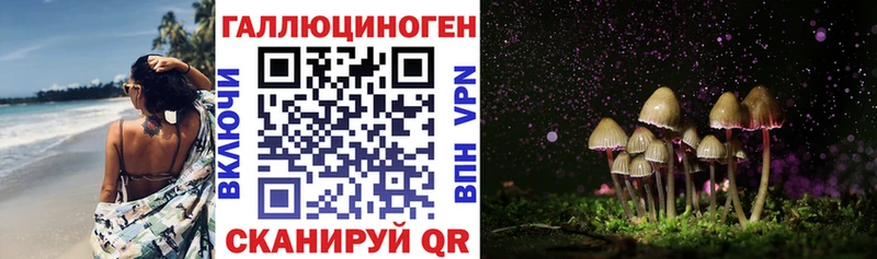 Галлюциногенные грибы Psilocybine cubensis  Кукмор 
